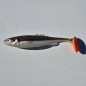 Silikoninis masalas Wisma's Memel Shad - Stealth Silver 26 Silikoninis masalas Wisma's Memel Shad - Stealth Silver 26