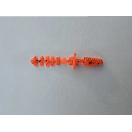 Wisma's Skeleton spalva 18